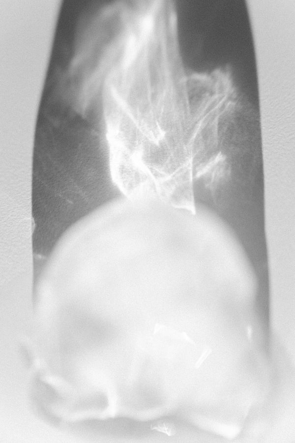 © Saha Kim - Image from the Chasing the Vanish photography project