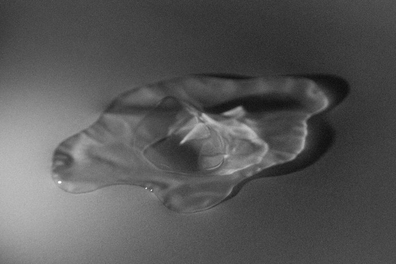 © Saha Kim - Image from the Chasing the Vanish photography project