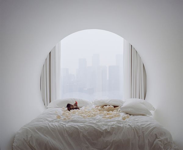 © xuan zheng - Window