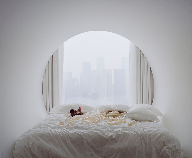 © xuan zheng - Window