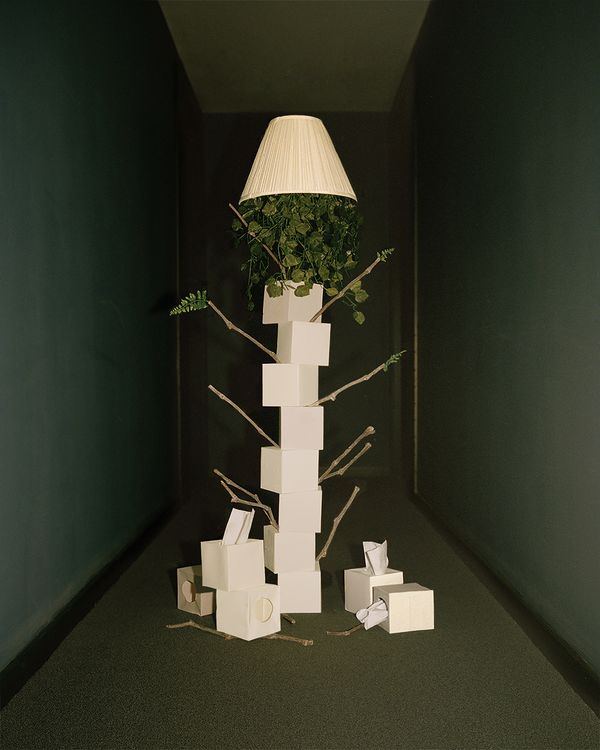 © xuan zheng - Tree