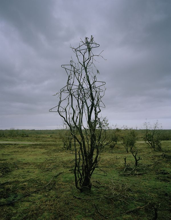 © xuan zheng - Hanger