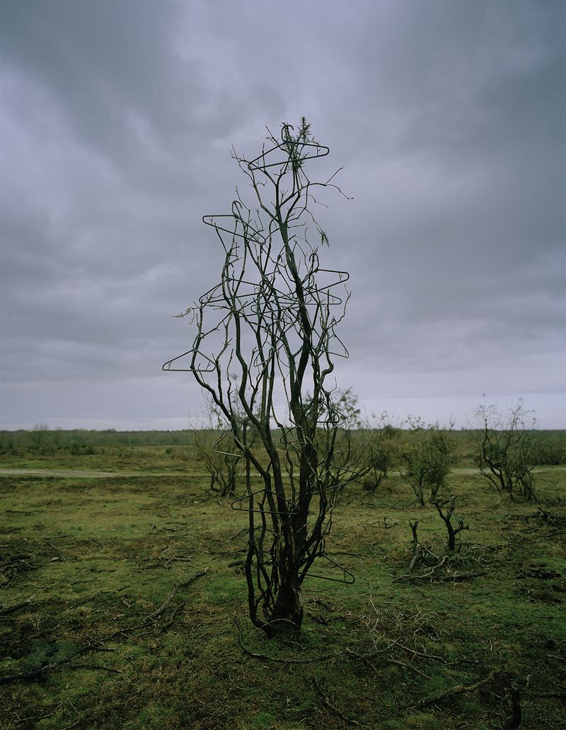 © xuan zheng - Hanger