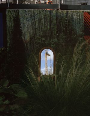 Wild Dwelling
