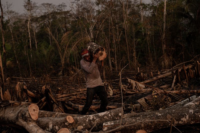 © Marcio Pimenta - Image from the Man and Earth photography project