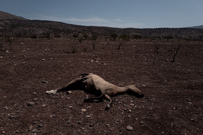 © Marcio Pimenta - Image from the Man and Earth photography project