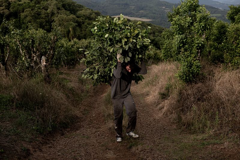 © Marcio Pimenta - Image from the Man and Earth photography project