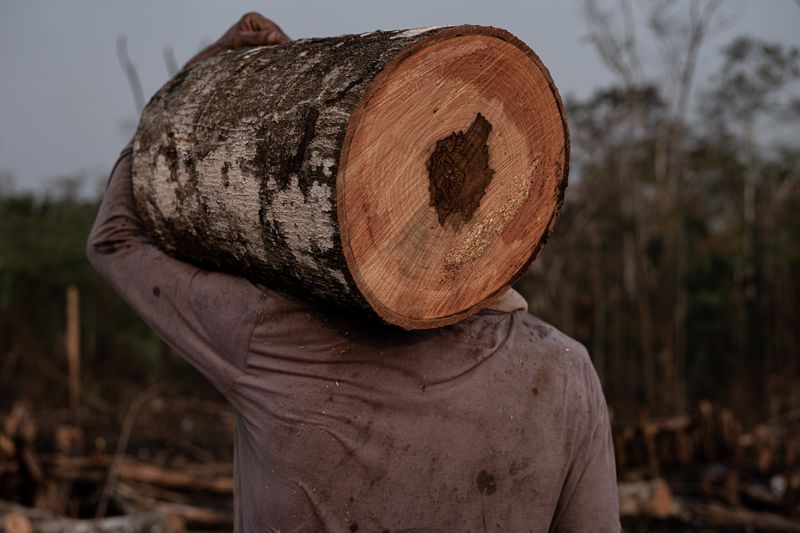 © Marcio Pimenta - Image from the Man and Earth photography project