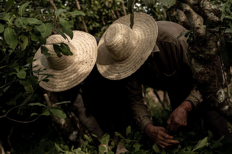 © Marcio Pimenta - Image from the Man and Earth photography project