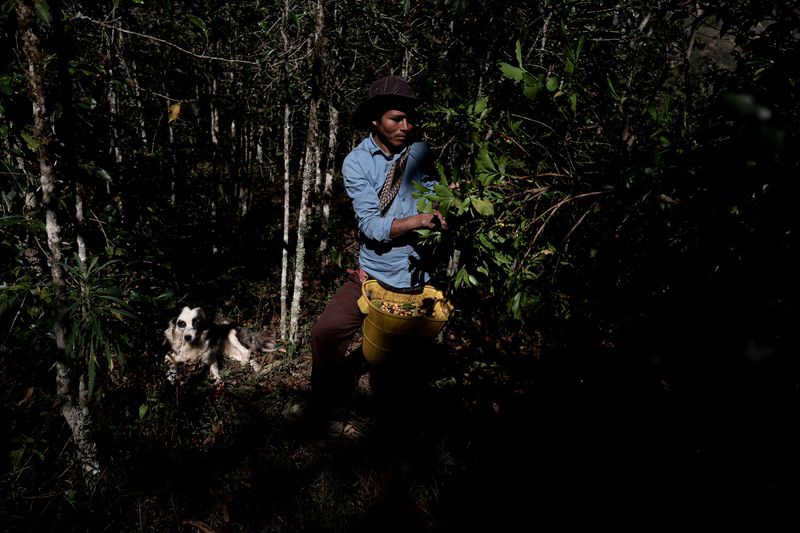 © Marcio Pimenta - Image from the Man and Earth photography project