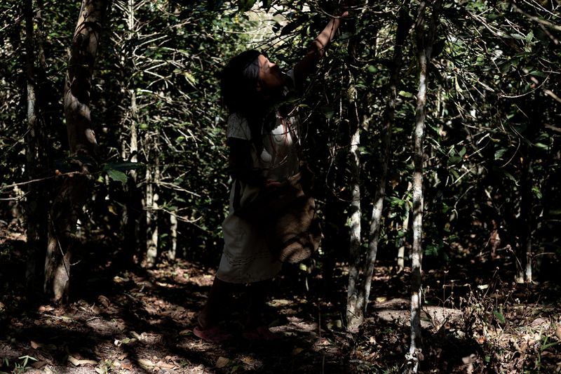 © Marcio Pimenta - Image from the Man and Earth photography project