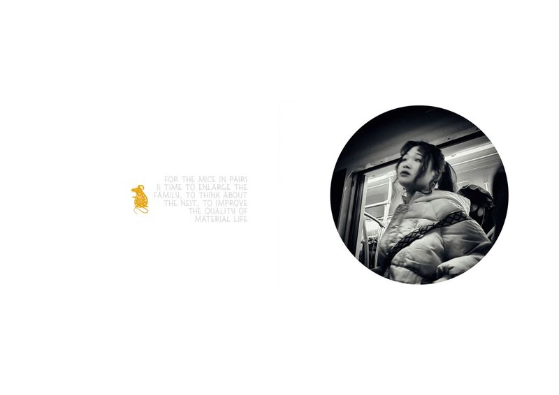 © Sara Munari - Image from the The year of the Golden mouse photography project