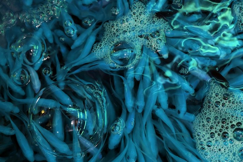 © Sara Munari - Image from the The year of the Golden mouse photography project