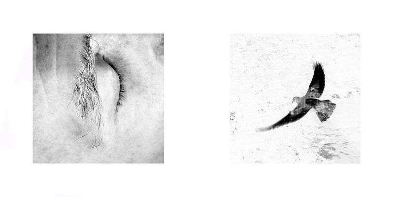 © Sara Munari - 17. My father's eye, my mother 18 . Photograph taken by my father from a museum window in Rimini