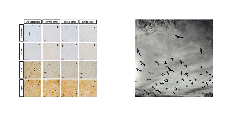 © Sara Munari - Image from the Controcanto photography project