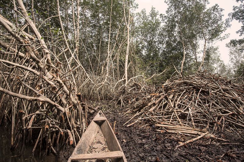 © Matilde Gattoni - Image from the Ocean rage photography project