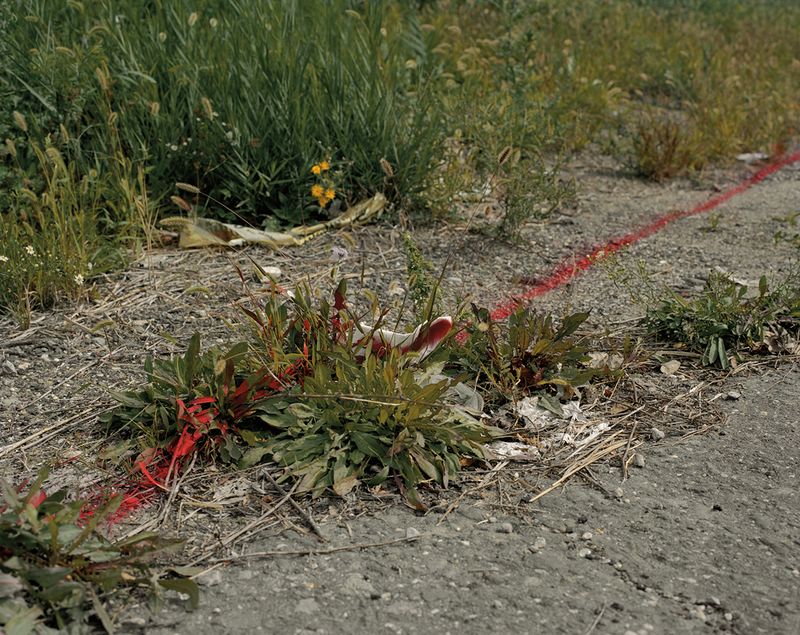 © Nicole Rosenthal - Red Line