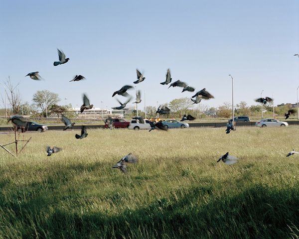 © Nicole Rosenthal - Red_White_Blue