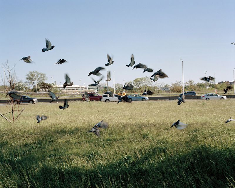 © Nicole Rosenthal - Red_White_Blue