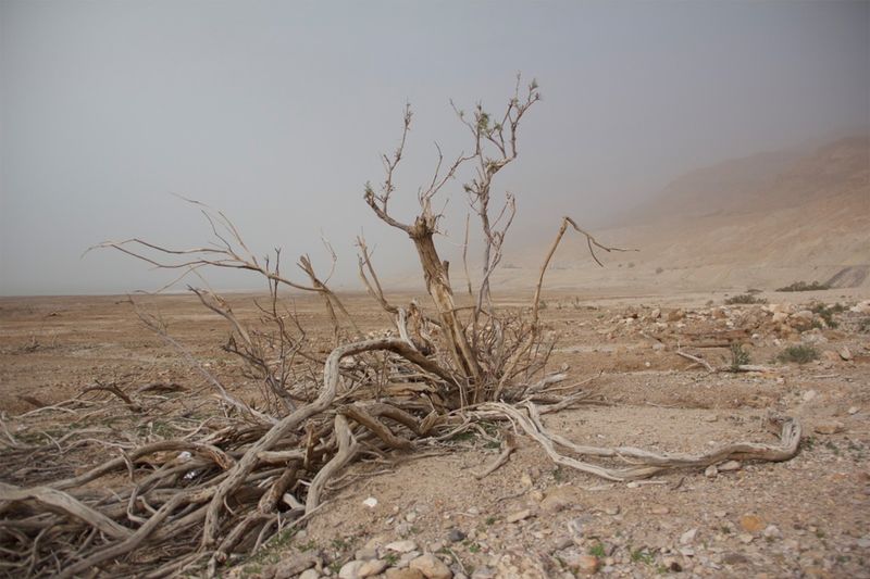 © Maryam MAK - Image from the Dying to Breathe photography project