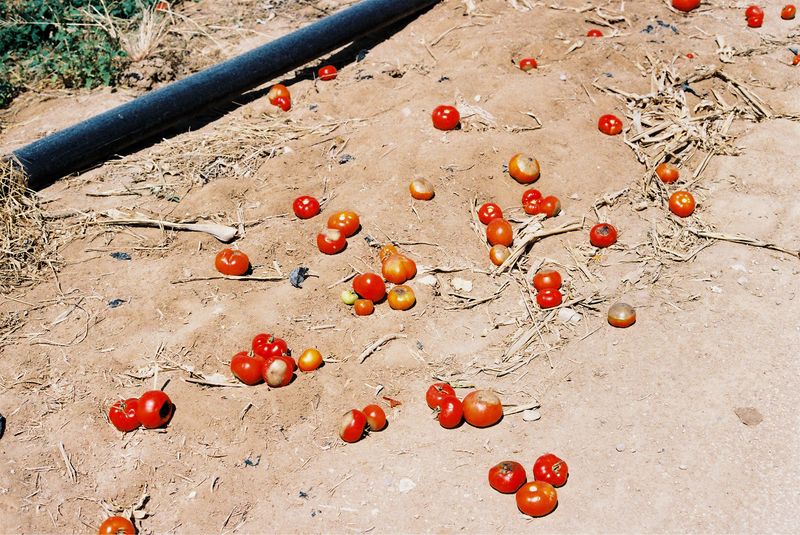 © Maryam MAK - Image from the Dying to Breathe photography project