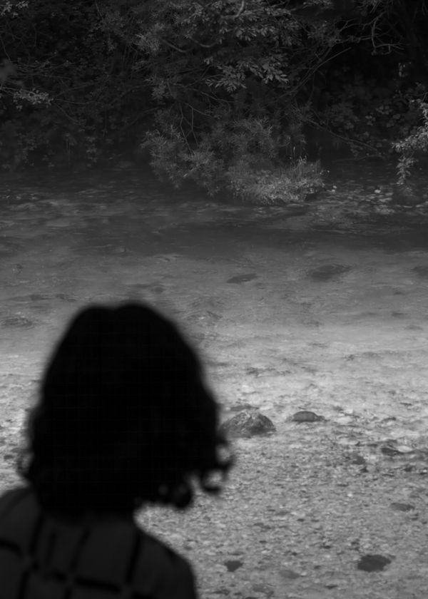 © Rianne Tegelaar - Image from the The call of the jackdaw photography project