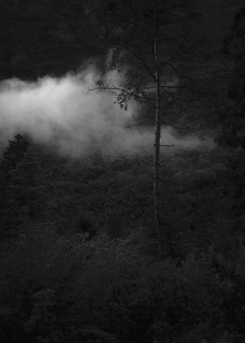 © Rianne Tegelaar - Image from the The call of the jackdaw photography project