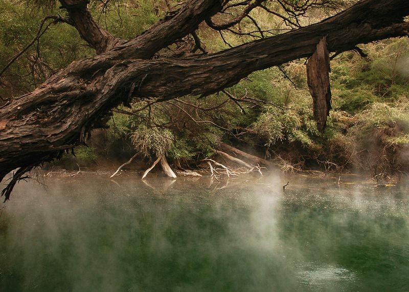 © Rianne Tegelaar - Image from the The call of the jackdaw photography project