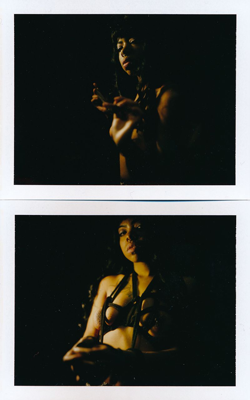 © Felicita Maynard - Skully II, Polaroid, 2016