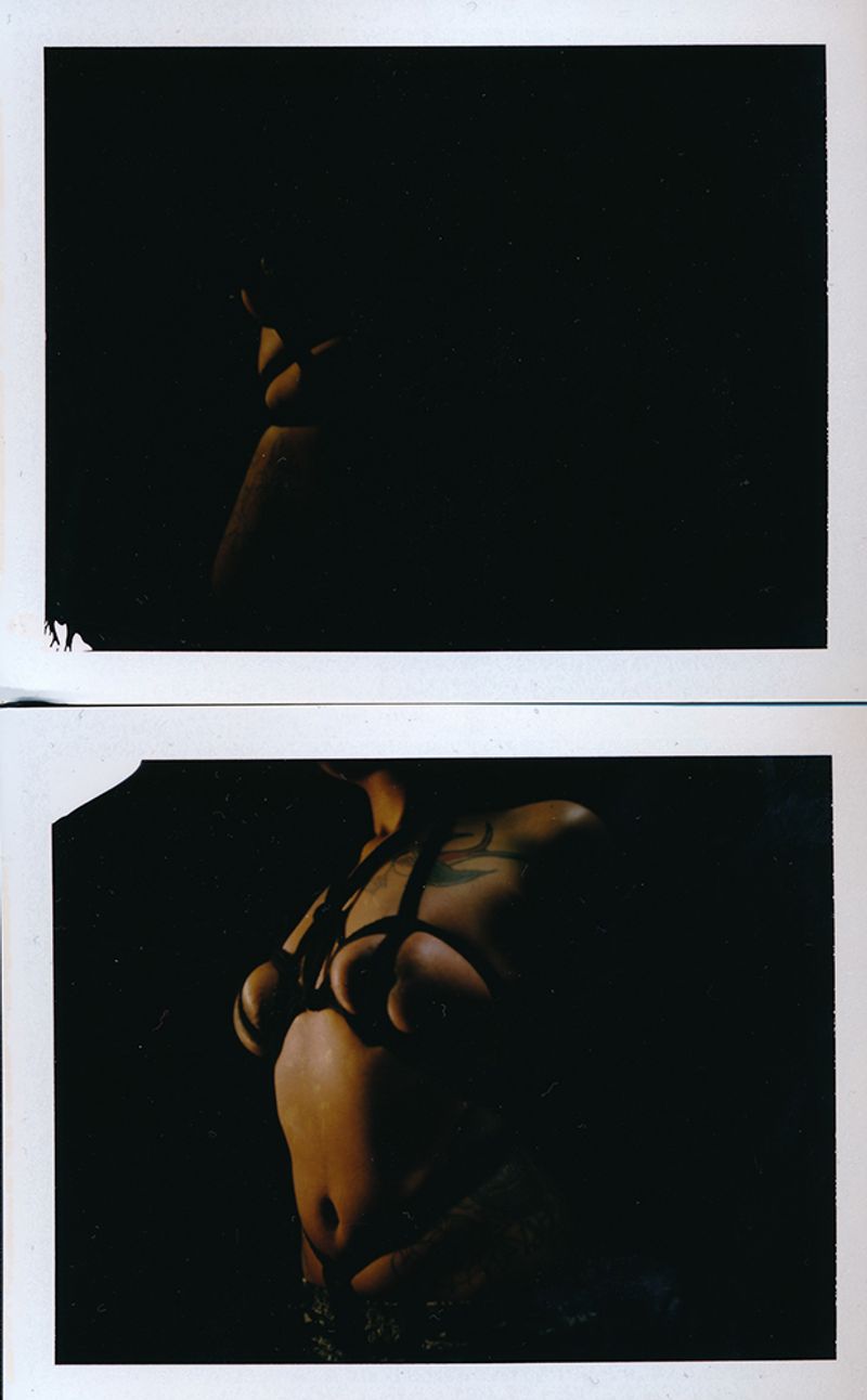 © Felicita Maynard - Skully I, Polaroid, 2016