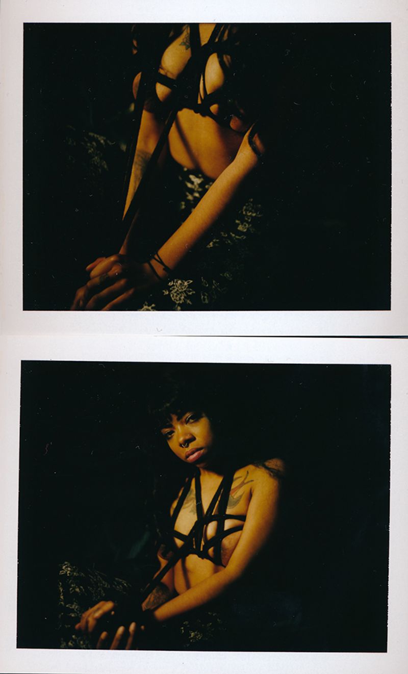 © Felicita Maynard - Skully VI, Polaroid, 2016