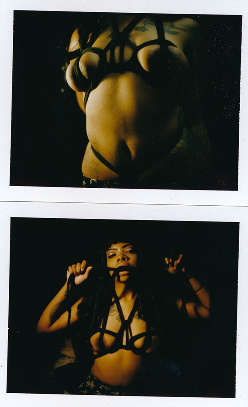 © Felicita Maynard - Skully III, Polaroid, 2016