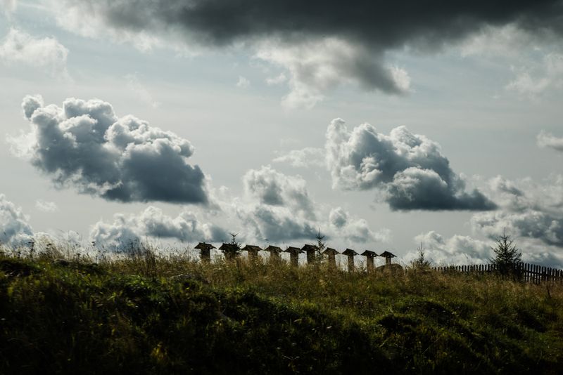 © Alyona Kochetkova - Image from the Transitions photography project