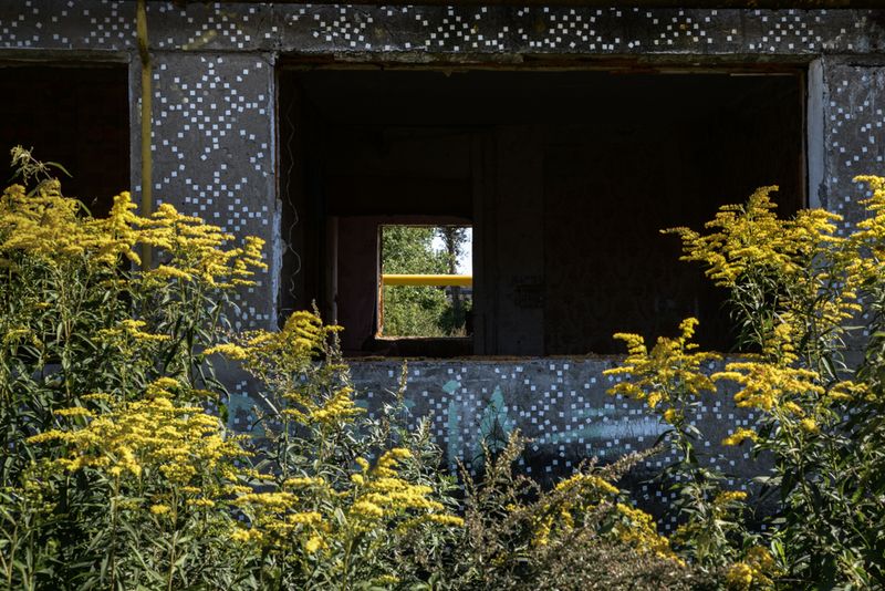 © Alyona Kochetkova - Image from the Transitions photography project