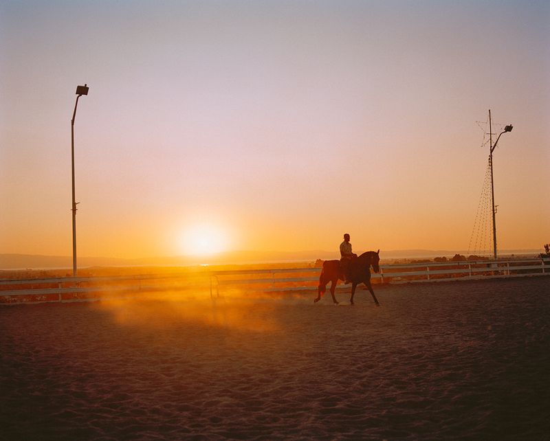 © Gabriela Hasbun - Prince Damons at Double O.D. Ranch in Union City, California. 2019