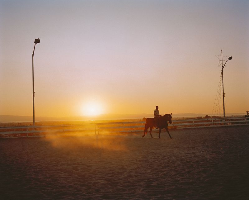 © Gabriela Hasbun - Prince Damons at Double O.D. Ranch in Union City, California. 2019