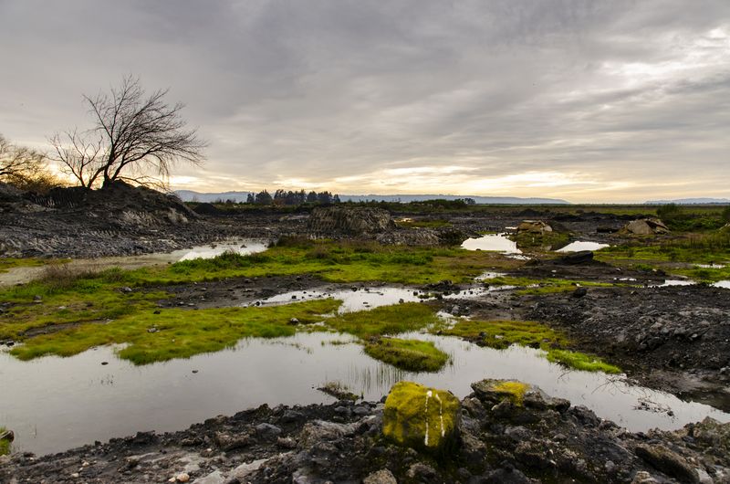 © Christian Creixell - The hidden side of the wetland, old industrial residues and acid waters