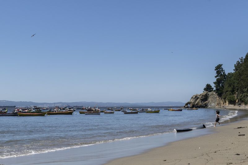 © Christian Creixell - Now clean and active, the Tumbes cove is full of life