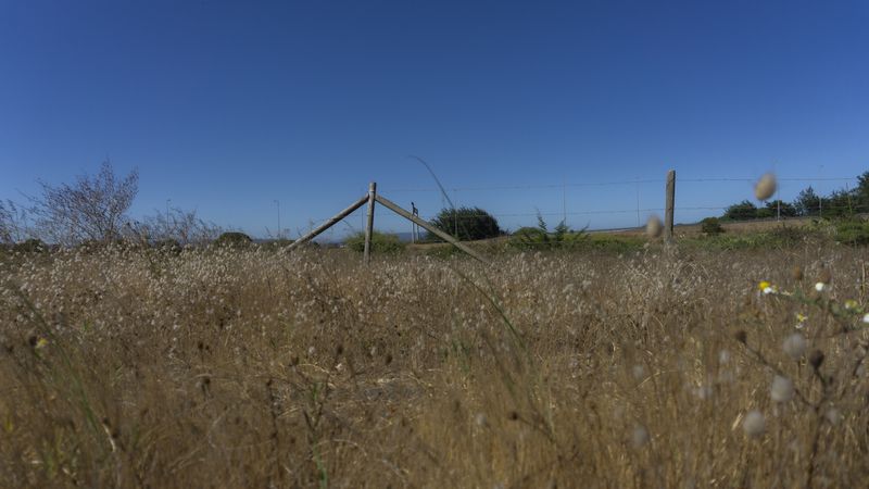 © Christian Creixell - Private property at the Rocuant wetland