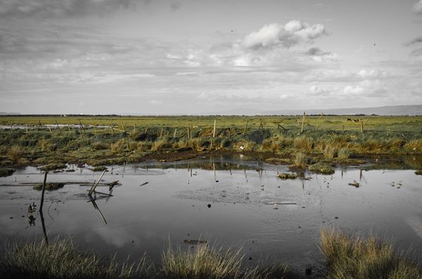 © Christian Creixell - The Rocuant wetland, at the city borders