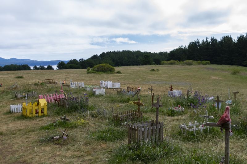 © Christian Creixell - One of the chilhood dreamscapes, the grass at the city hills, now with a pet cemetery