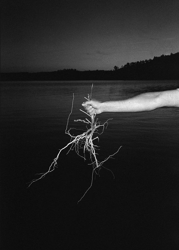 © Alexandre de Magalhães - Image from the Cochlea photography project