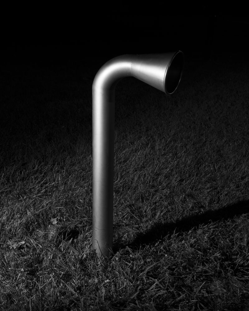 © Alexandre de Magalhães - Image from the Cochlea photography project