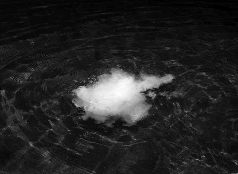© Alexandre de Magalhães - Image from the Cochlea photography project