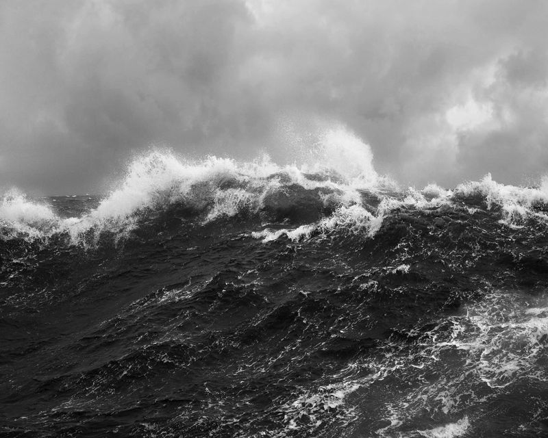 © Alexandre de Magalhães - Image from the Cochlea photography project