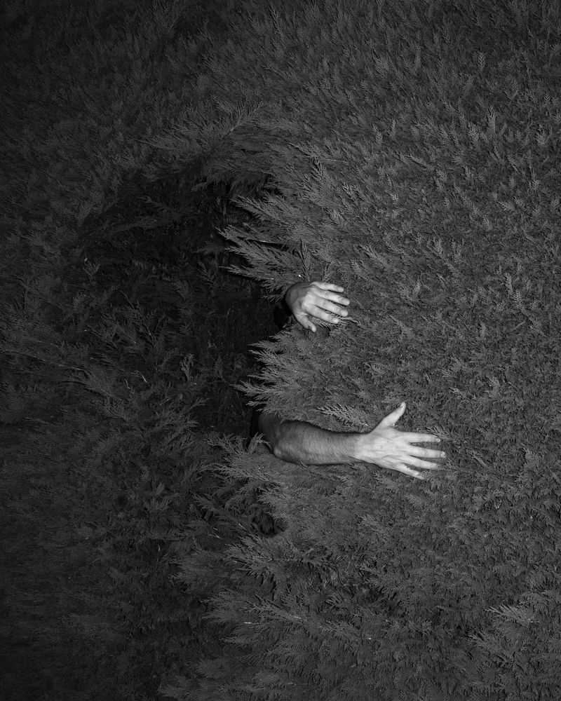 © Alexandre de Magalhães - Image from the Cochlea photography project