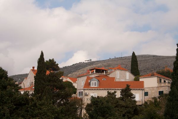 © Nives Sertić - Nives Sertić - 3 to 10, Trees #01