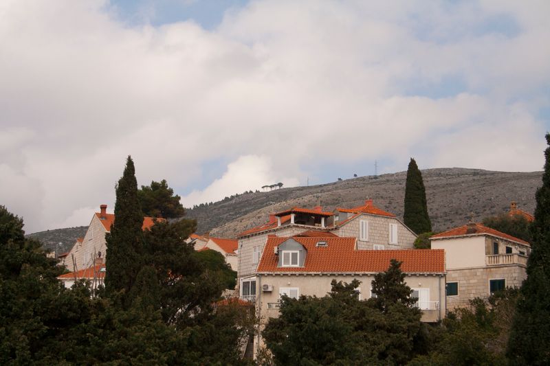 © Nives Sertić - Nives Sertić - 3 to 10, Trees #01