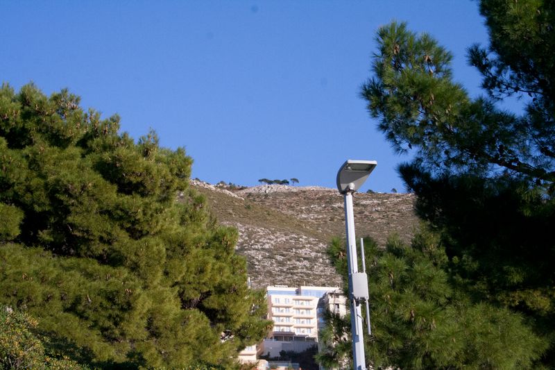 © Nives Sertić - Nives Sertić - 3 to 10, Trees #06