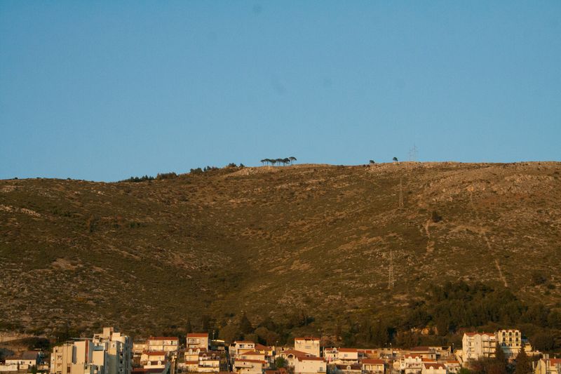 © Nives Sertić - Nives Sertić - 3 to 10, Trees #12